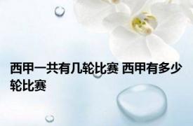 西甲一共有几轮比赛 西甲有多少轮比赛 