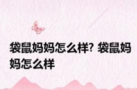 袋鼠妈妈怎么样? 袋鼠妈妈怎么样 