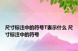 尺寸标注中的符号T表示什么 尺寸标注中的符号 