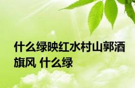 什么绿映红水村山郭酒旗风 什么绿 