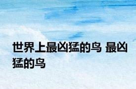 世界上最凶猛的鸟 最凶猛的鸟 