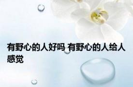 有野心的人好吗 有野心的人给人感觉 