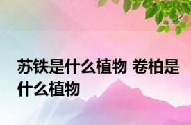 苏铁是什么植物 卷柏是什么植物 