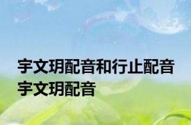 宇文玥配音和行止配音 宇文玥配音 