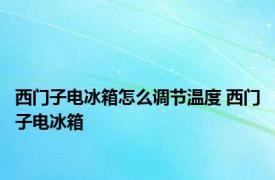 西门子电冰箱怎么调节温度 西门子电冰箱 