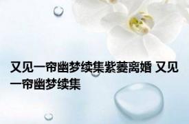 又见一帘幽梦续集紫菱离婚 又见一帘幽梦续集 