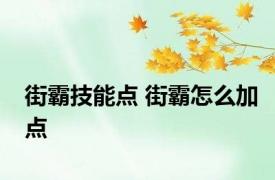 街霸技能点 街霸怎么加点 