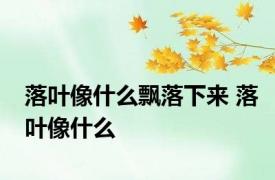 落叶像什么飘落下来 落叶像什么 