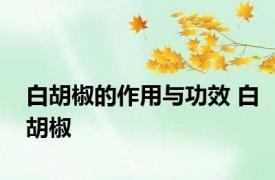 白胡椒的作用与功效 白胡椒 