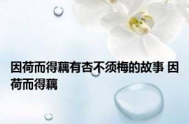 因荷而得藕有杏不须梅的故事 因荷而得藕 