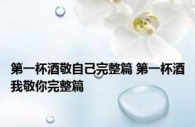 第一杯酒敬自己完整篇 第一杯酒我敬你完整篇 