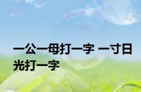 一公一母打一字 一寸日光打一字 