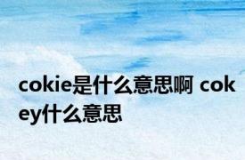 cokie是什么意思啊 cokey什么意思 