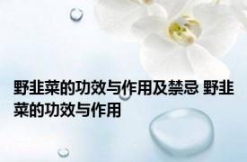 野韭菜的功效与作用及禁忌 野韭菜的功效与作用 