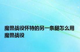 魔兽战役怀特的另一条腿怎么用 魔兽战役 