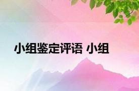 小组鉴定评语 小组 