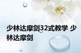少林达摩剑32式教学 少林达摩剑 