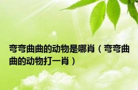弯弯曲曲的动物是哪肖（弯弯曲曲的动物打一肖）