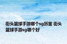 街头篮球手游哪个sg厉害 街头篮球手游sg哪个好 