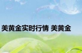 美黄金实时行情 美黄金 