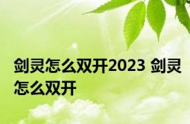 剑灵怎么双开2023 剑灵怎么双开 
