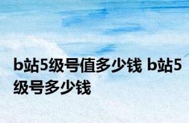b站5级号值多少钱 b站5级号多少钱 