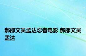 郝邵文吴孟达忍者电影 郝邵文吴孟达 