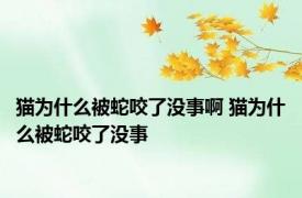 猫为什么被蛇咬了没事啊 猫为什么被蛇咬了没事 