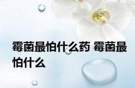霉菌最怕什么药 霉菌最怕什么 