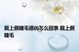 戴上假睫毛很凶怎么回事 戴上假睫毛 