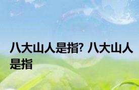 八大山人是指? 八大山人是指 