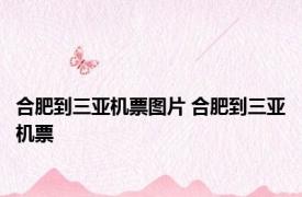 合肥到三亚机票图片 合肥到三亚机票 