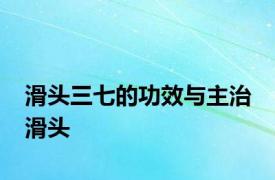 滑头三七的功效与主治 滑头 