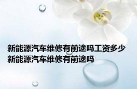新能源汽车维修有前途吗工资多少 新能源汽车维修有前途吗 