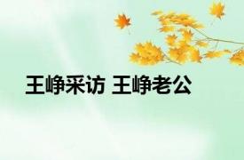 王峥采访 王峥老公 