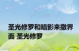 圣光修罗和暗影来撒界面 圣光修罗 