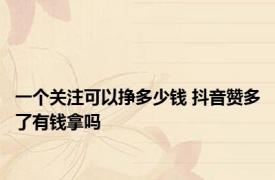 一个关注可以挣多少钱 抖音赞多了有钱拿吗 