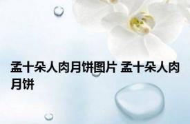 孟十朵人肉月饼图片 孟十朵人肉月饼 