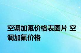 空调加氟价格表图片 空调加氟价格 