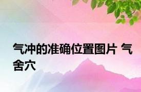 气冲的准确位置图片 气舍穴 