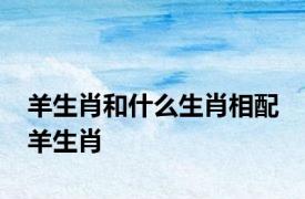 羊生肖和什么生肖相配 羊生肖 