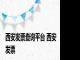 西安发票查询平台 西安发票 