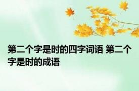 第二个字是时的四字词语 第二个字是时的成语 