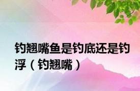 钓翘嘴鱼是钓底还是钓浮（钓翘嘴）