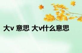 大v 意思 大v什么意思 