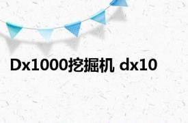 Dx1000挖掘机 dx10 