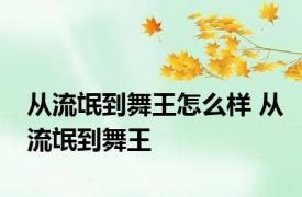 从流氓到舞王怎么样 从流氓到舞王 