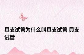具支试管为什么叫具支试管 具支试管 