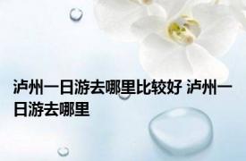 泸州一日游去哪里比较好 泸州一日游去哪里 
