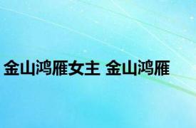 金山鸿雁女主 金山鸿雁 